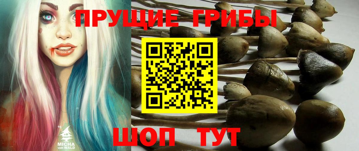 Бугуруслан  Галлюциногенные грибы мухоморы  Вход с VPN 