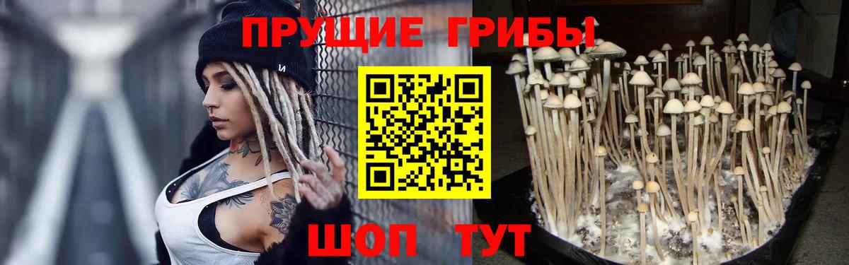 Псилоцибиновые грибы ЛСД Бугуруслан
